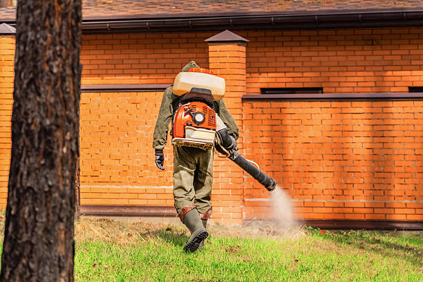 Trusted Termite Control service in Rockcreek, OR - Nex Pest Control